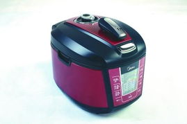 2010年度消費者最喜愛的小家電產(chǎn)品盤點